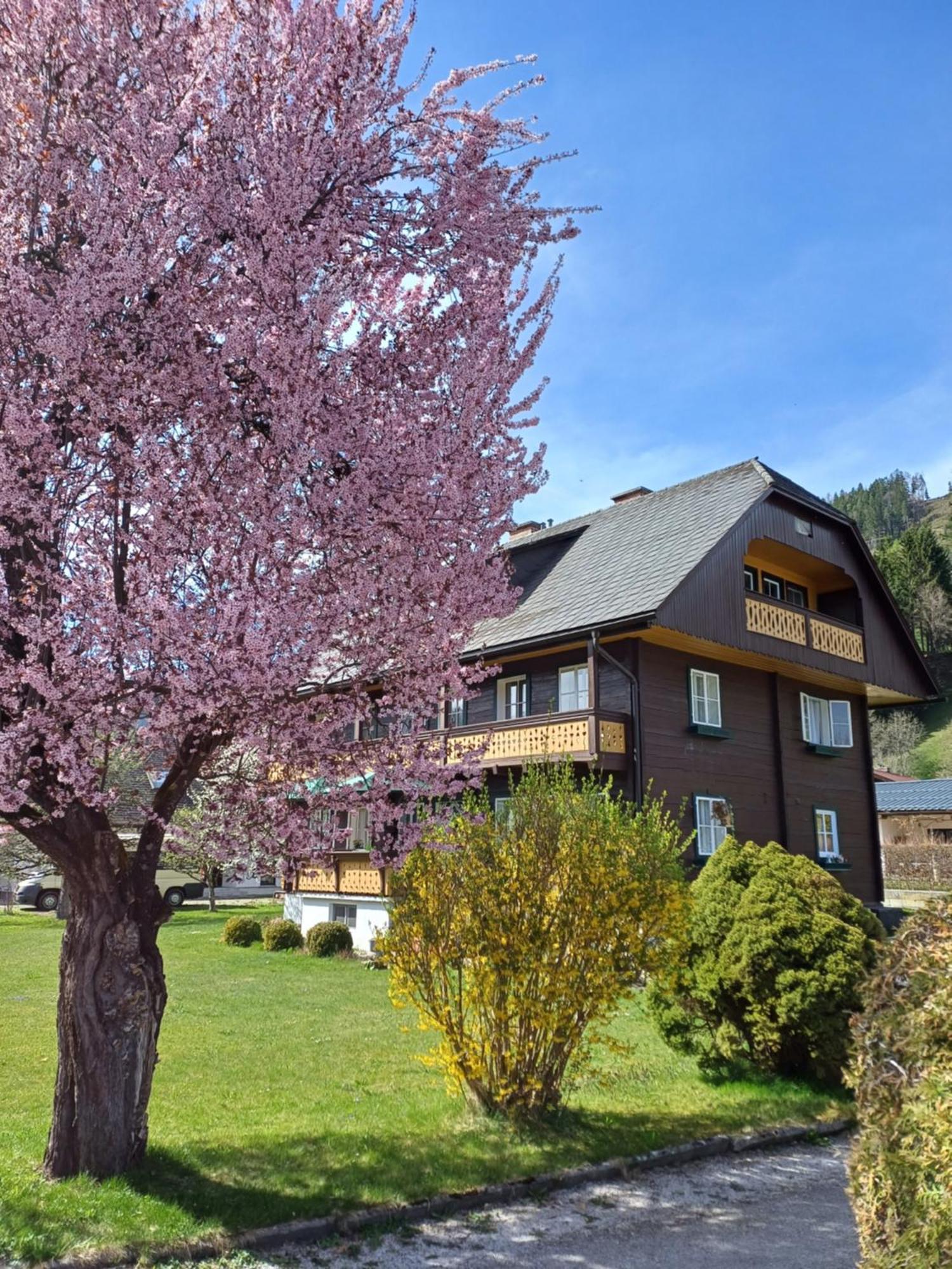 Appartement Steiner Schladming Exterior foto