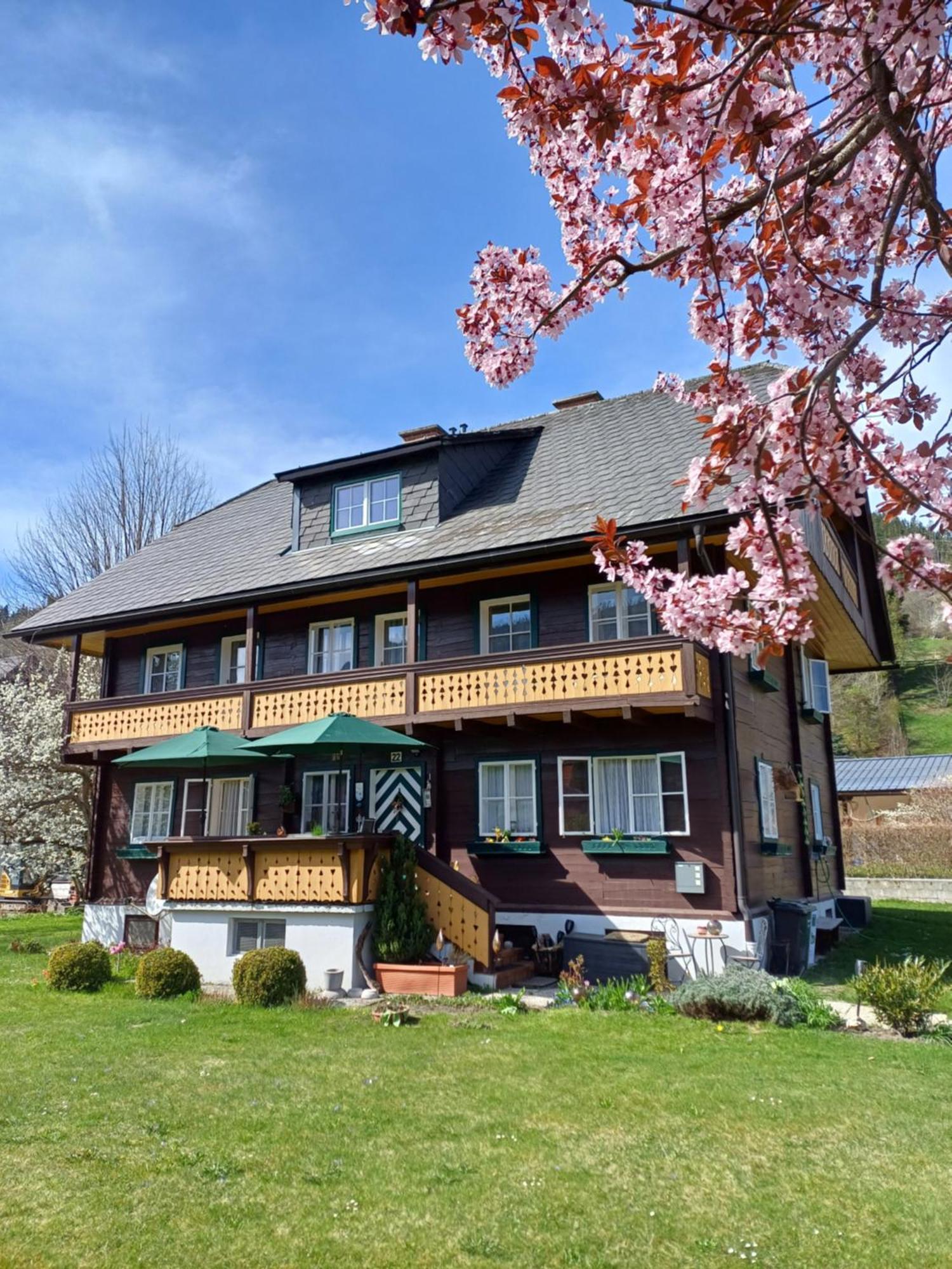 Appartement Steiner Schladming Exterior foto